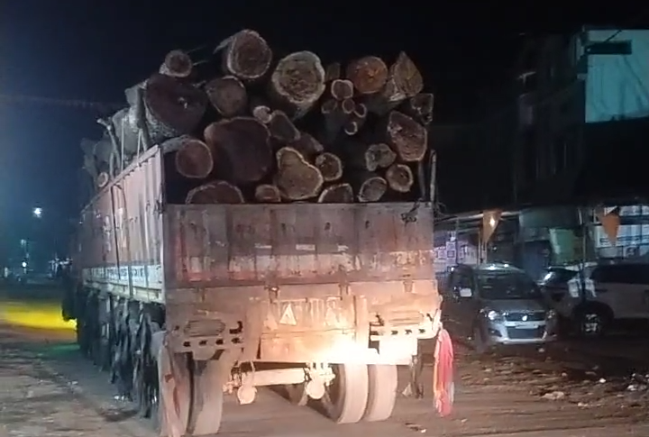 वन विभाग की चुप्पी ने बढ़ाए सवाल, जिम्मेदार अधिकारी जानकारी देने से बचते नजर आए