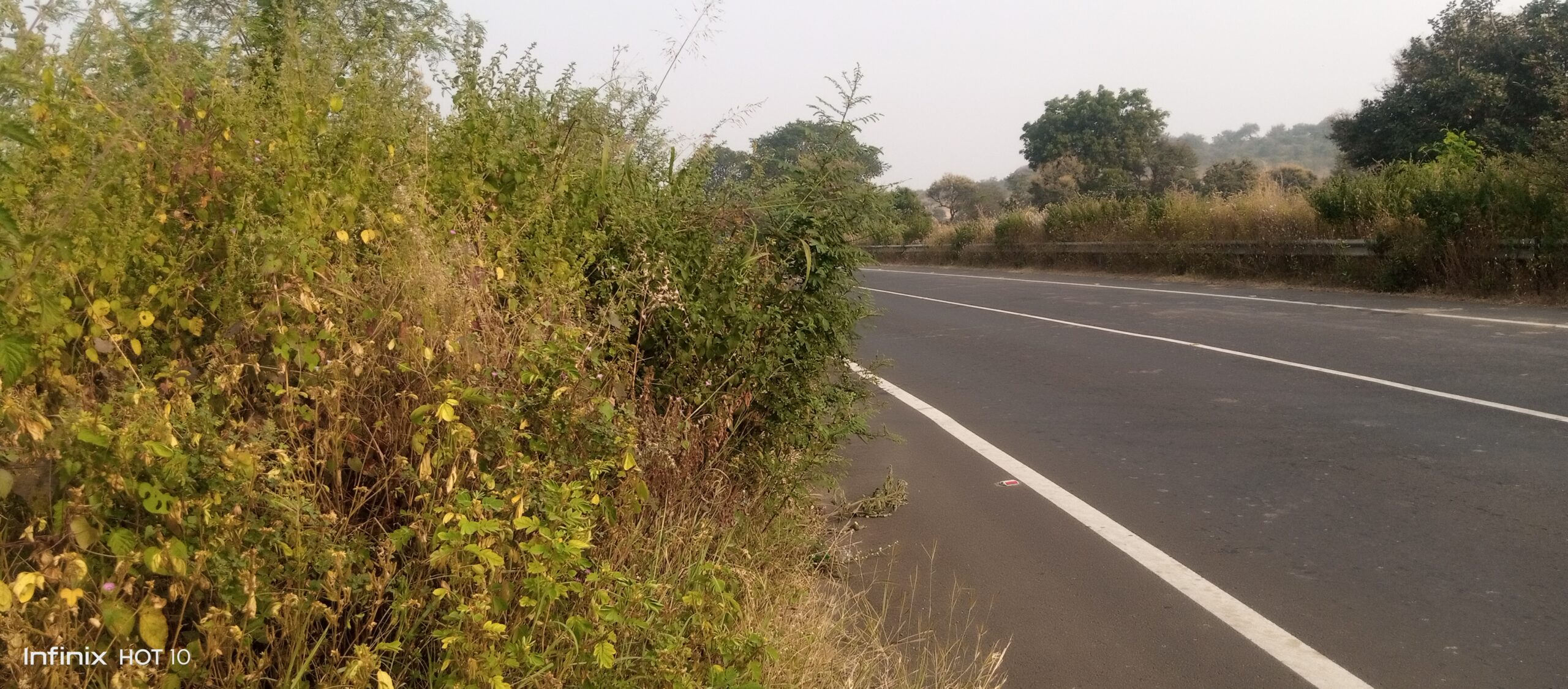 कलेक्टर द्वारा सड़क सुरक्षा समिति, की बैठक में दिए निर्देशों का नही हो रहा पालन