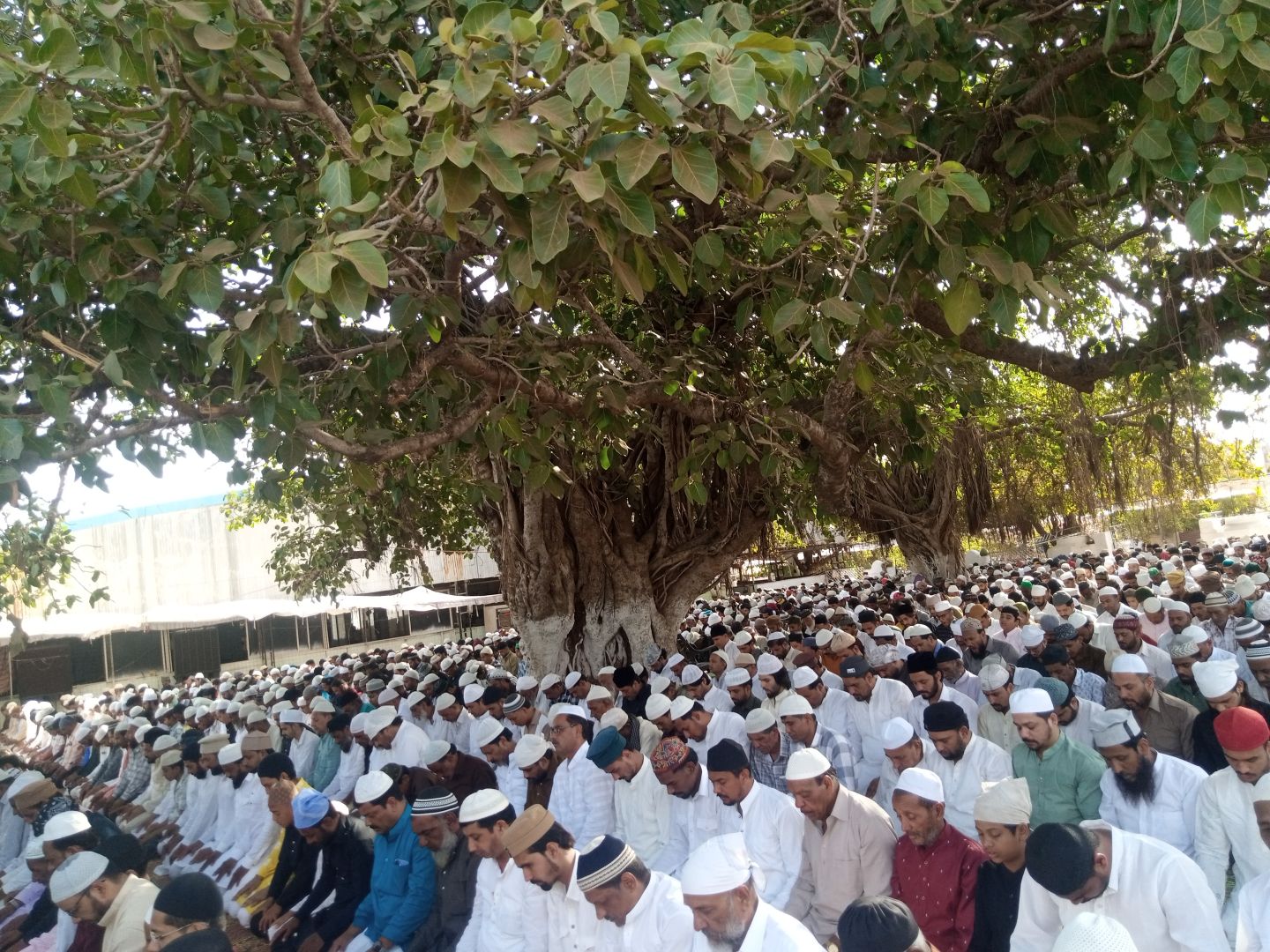 नमाज के बाद देश मे अमन चैन की मांगी दुआ 