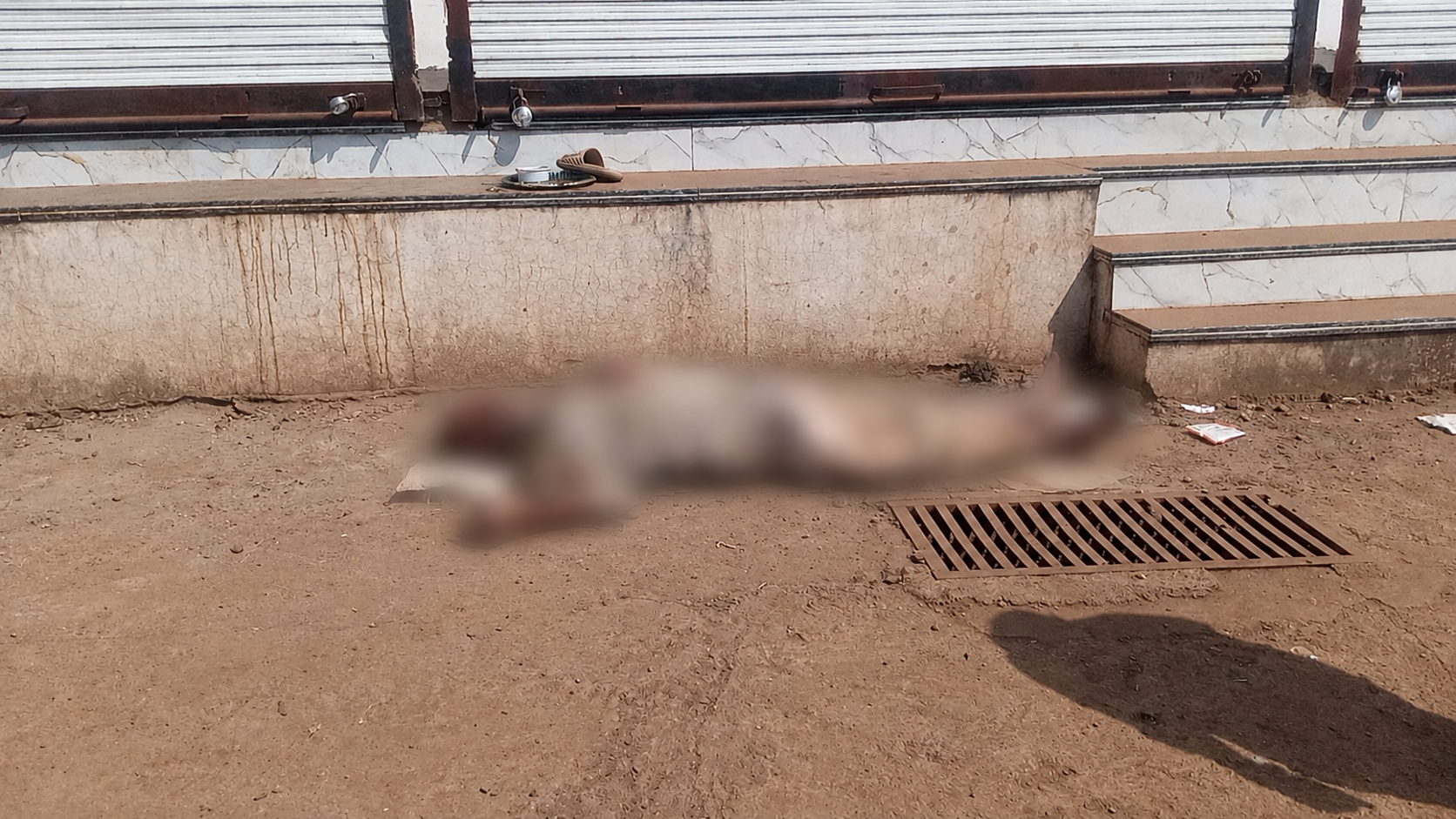 क्षेत्र में फैली सनसनी