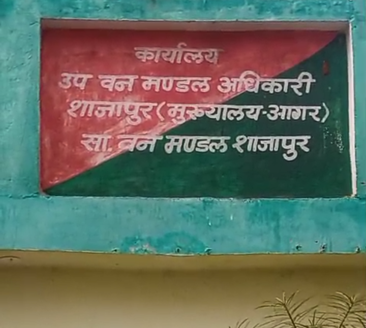 वन विभाग की बड़ी लापरवाही! जब्त ट्रैक्टर-ट्रॉली ऑफिस से गायब, अफसरों के बयान में विरोधाभास